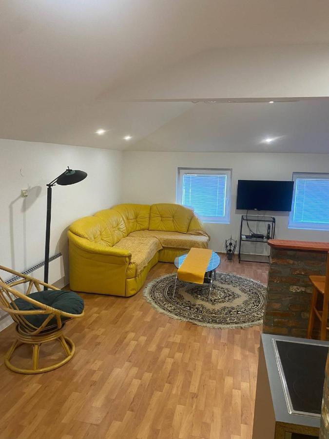 Twin Studio Apartments Zemun Белград Екстер'єр фото