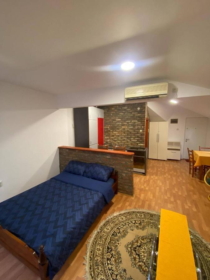 Twin Studio Apartments Zemun Белград Екстер'єр фото